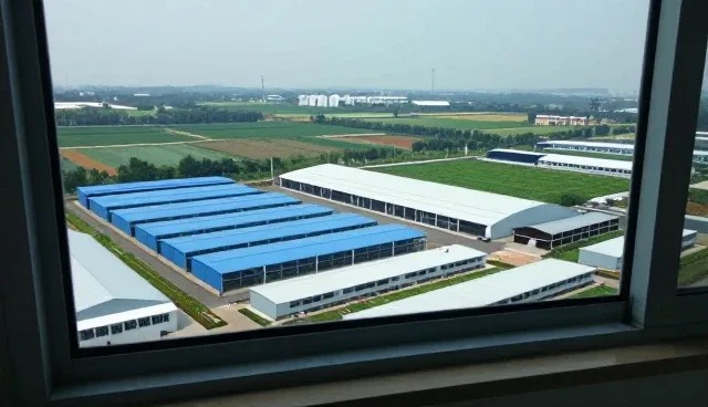 业务涉系统选型中适用条件的核心考量